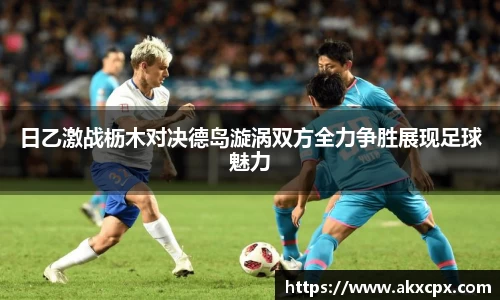 DG视讯平台